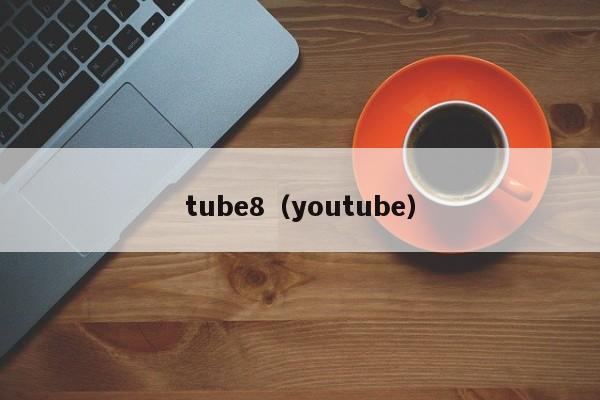 tube8（youtube）