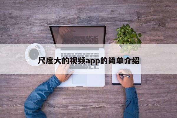 尺度大的视频app的简单介绍