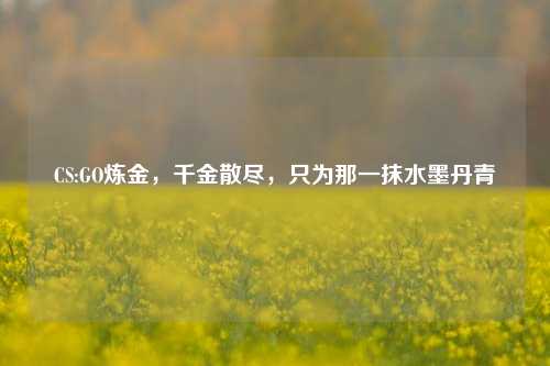 CS:GO炼金，千金散尽，只为那一抹水墨丹青
