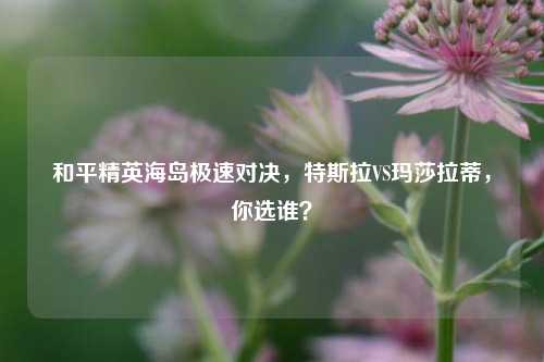 和平精英海岛极速对决，特斯拉VS玛莎拉蒂，你选谁？