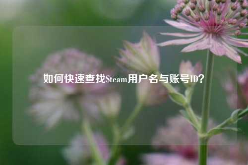 如何快速查找Steam用户名与账号ID？