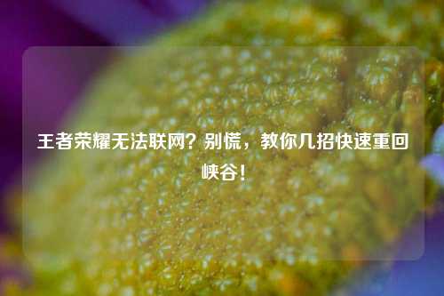 王者荣耀无法联网？别慌，教你几招快速重回峡谷！
