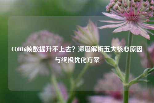 COD16帧数提升不上去？深度解析五大核心原因与终极优化方案