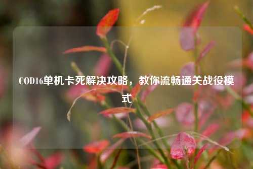 COD16单机卡死解决攻略，教你流畅通关战役模式