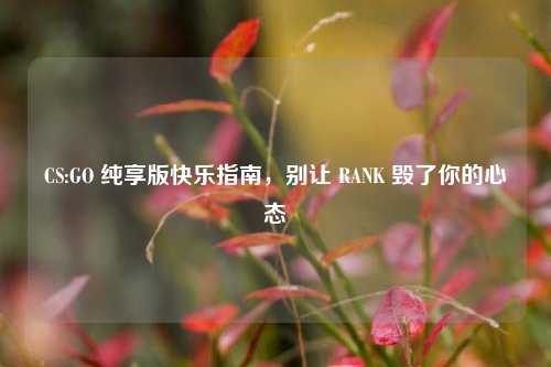 CS:GO 纯享版快乐指南，别让 RANK 毁了你的心态