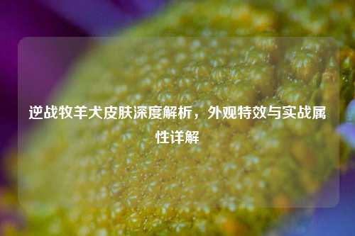 逆战牧羊犬皮肤深度解析，外观特效与实战属性详解