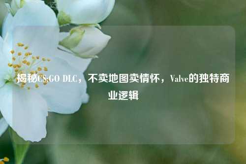 揭秘CS:GO DLC，不卖地图卖情怀，Valve的独特商业逻辑