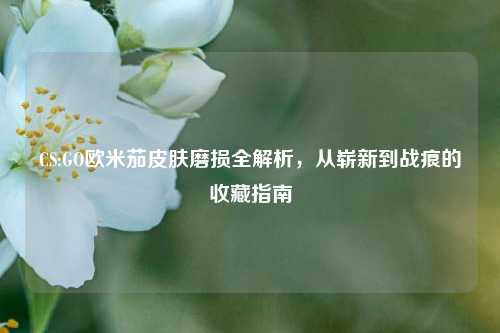 CS:GO欧米茄皮肤磨损全解析，从崭新到战痕的收藏指南