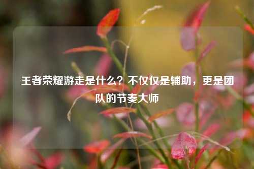 王者荣耀游走是什么？不仅仅是辅助，更是团队的节奏大师