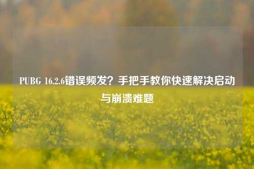 PUBG 16.2.6错误频发？手把手教你快速解决启动与崩溃难题