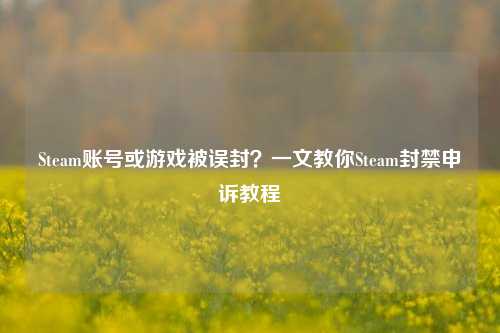 Steam账号或游戏被误封？一文教你Steam封禁申诉教程