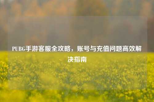 PUBG手游客服全攻略，账号与充值问题高效解决指南