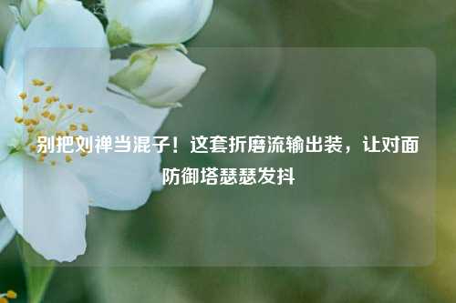 别把刘禅当混子！这套折磨流输出装，让对面防御塔瑟瑟发抖