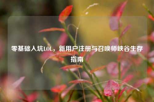 零基础入坑LOL，新用户注册与召唤师峡谷生存指南
