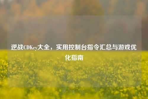 逆战CDKey大全，实用控制台指令汇总与游戏优化指南