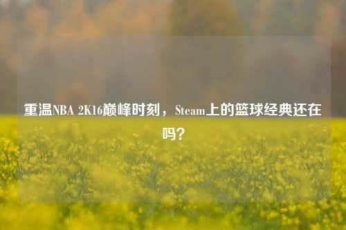 重温NBA 2K16巅峰时刻，Steam上的篮球经典还在吗？