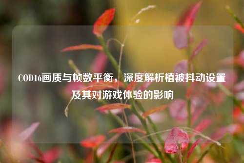 COD16画质与帧数平衡，深度解析植被抖动设置及其对游戏体验的影响