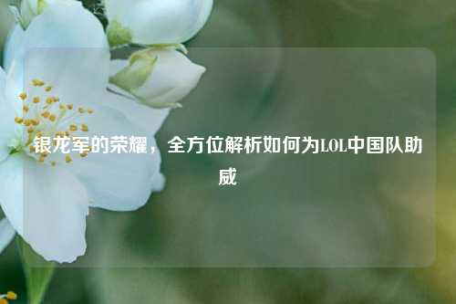 银龙军的荣耀，全方位解析如何为LOL中国队助威