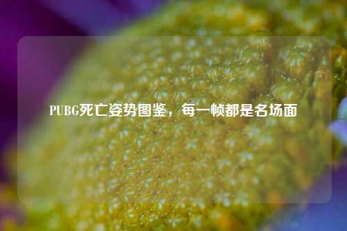 PUBG死亡姿势图鉴，每一帧都是名场面