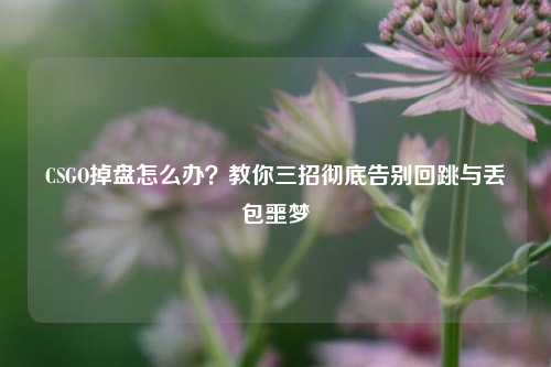 CSGO掉盘怎么办？教你三招彻底告别回跳与丢包噩梦
