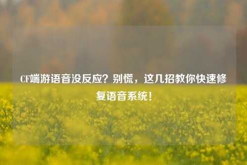 CF端游语音没反应？别慌，这几招教你快速修复语音系统！