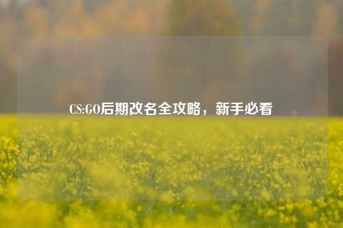 CS:GO后期改名全攻略，新手必看