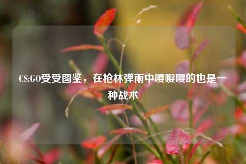 CS:GO受受图鉴，在枪林弹雨中嘤嘤嘤的也是一种战术