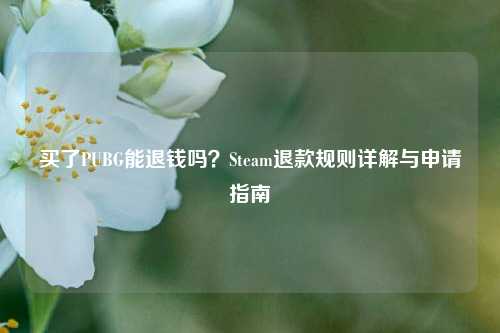 买了PUBG能退钱吗？Steam退款规则详解与申请指南