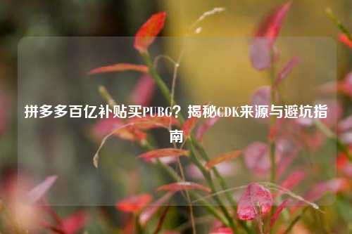 拼多多百亿补贴买PUBG？揭秘CDK来源与避坑指南