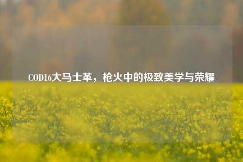 COD16大马士革，枪火中的极致美学与荣耀
