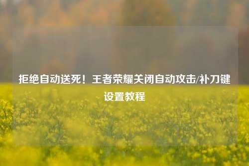 拒绝自动送死！王者荣耀关闭自动攻击/补刀键设置教程