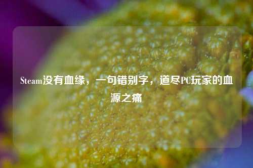 Steam没有血缘，一句错别字，道尽PC玩家的血源之痛