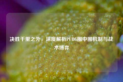 决胜千里之外，深度解析PUBG圈中圈机制与战术博弈
