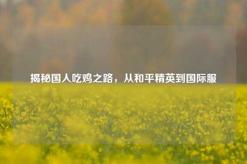 揭秘国人吃鸡之路，从和平精英到国际服