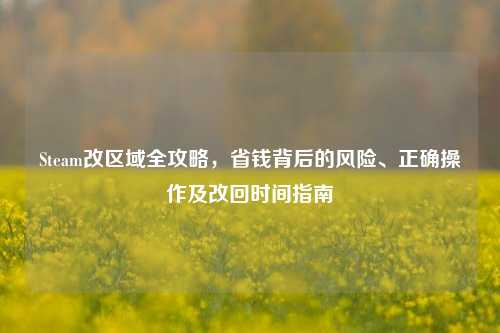 Steam改区域全攻略，省钱背后的风险、正确操作及改回时间指南
