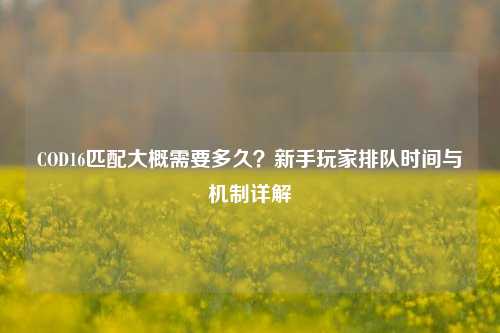 COD16匹配大概需要多久？新手玩家排队时间与机制详解