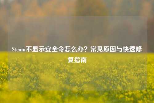 Steam不显示安全令怎么办？常见原因与快速修复指南