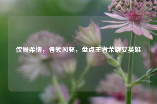 侠骨柔情，各领风骚，盘点王者荣耀女英雄