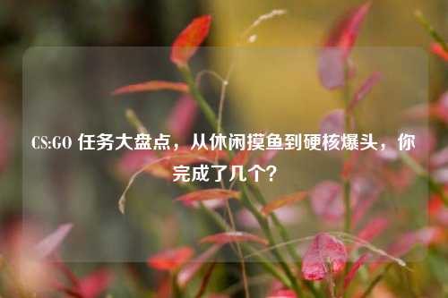 CS:GO 任务大盘点，从休闲摸鱼到硬核爆头，你完成了几个？