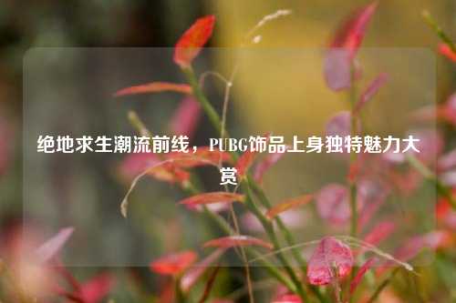 绝地求生潮流前线，PUBG饰品上身独特魅力大赏