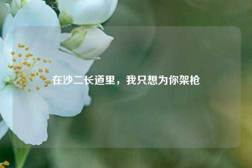 在沙二长道里，我只想为你架枪