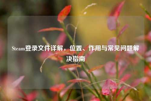 Steam登录文件详解，位置、作用与常见问题解决指南