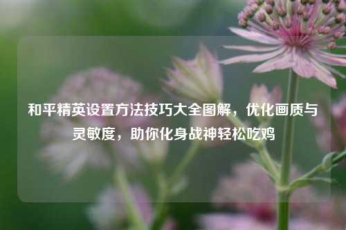 和平精英设置方法技巧大全图解，优化画质与灵敏度，助你化身战神轻松吃鸡