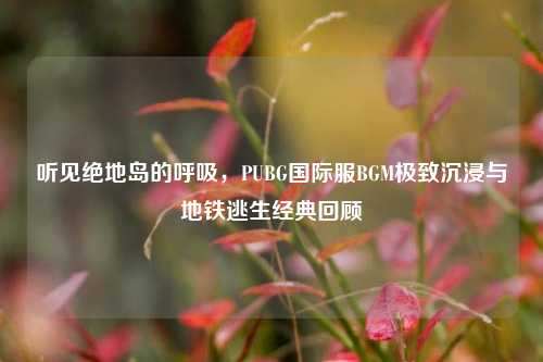听见绝地岛的呼吸，PUBG国际服BGM极致沉浸与地铁逃生经典回顾