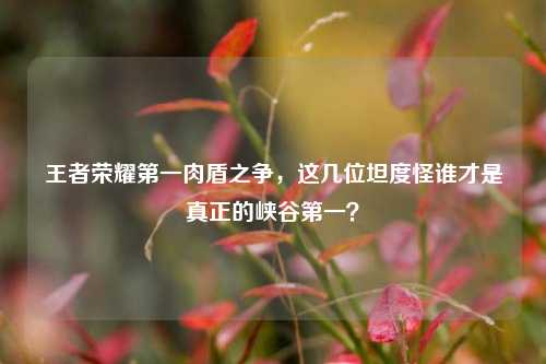 王者荣耀第一肉盾之争，这几位坦度怪谁才是真正的峡谷第一？