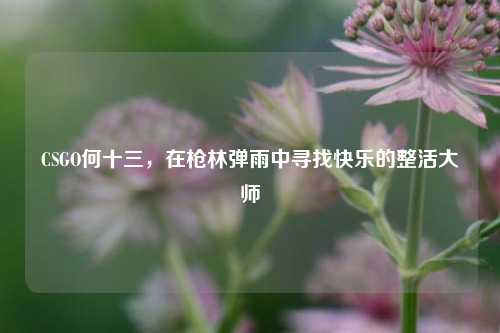 CSGO何十三，在枪林弹雨中寻找快乐的整活大师