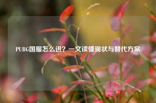 PUBG国服怎么进？一文读懂现状与替代方案