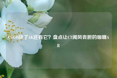 CS:GO除了AK还有它？盘点让CT闻风丧胆的咖喱AR