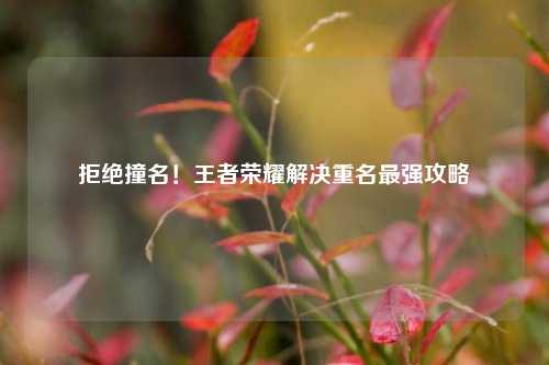 拒绝撞名！王者荣耀解决重名最强攻略