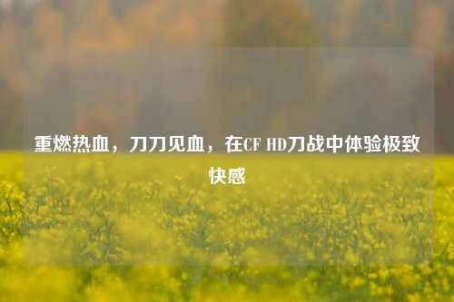 重燃热血，刀刀见血，在CF HD刀战中体验极致快感